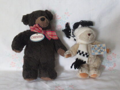 North American Bear - Chester and Knitties