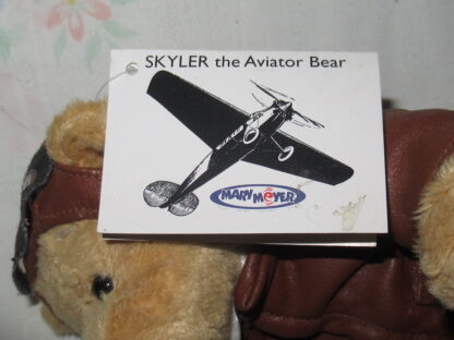 Skyler the Aviator Bear and Gund Fossil 1995 Bear - Image 4