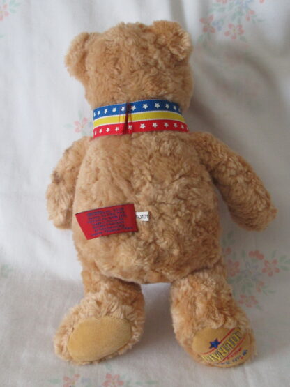 Gund Wish Bear 2003 Courage Trust In Yourself - Image 2