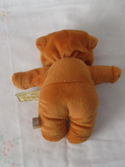 Wishpets Lil Pumpkin, Bear with Witch Hat, Pumpkin Paws Bear - Image 11
