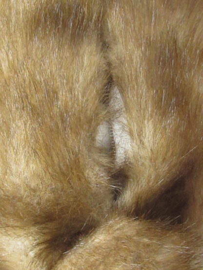 Dan Dee 100th Anniversary of the Teddy Bear - 14 inch - Image 3
