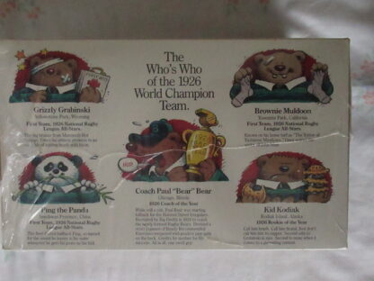 Gund for Lands End Authentic Rugby Bear - Big Daddy Owner - Image 10
