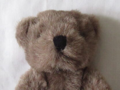 Lot of 3 Teddy Bears - 9 inch, 5 inch and 7 inch - Image 4