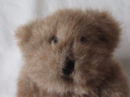 Lot of 3 Teddy Bears - 9 inch, 5 inch and 7 inch - Image 14