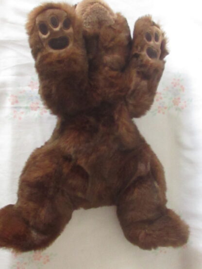 Ty Inc 1996 - Brown Bear with Paw Pads and Tail - Image 4