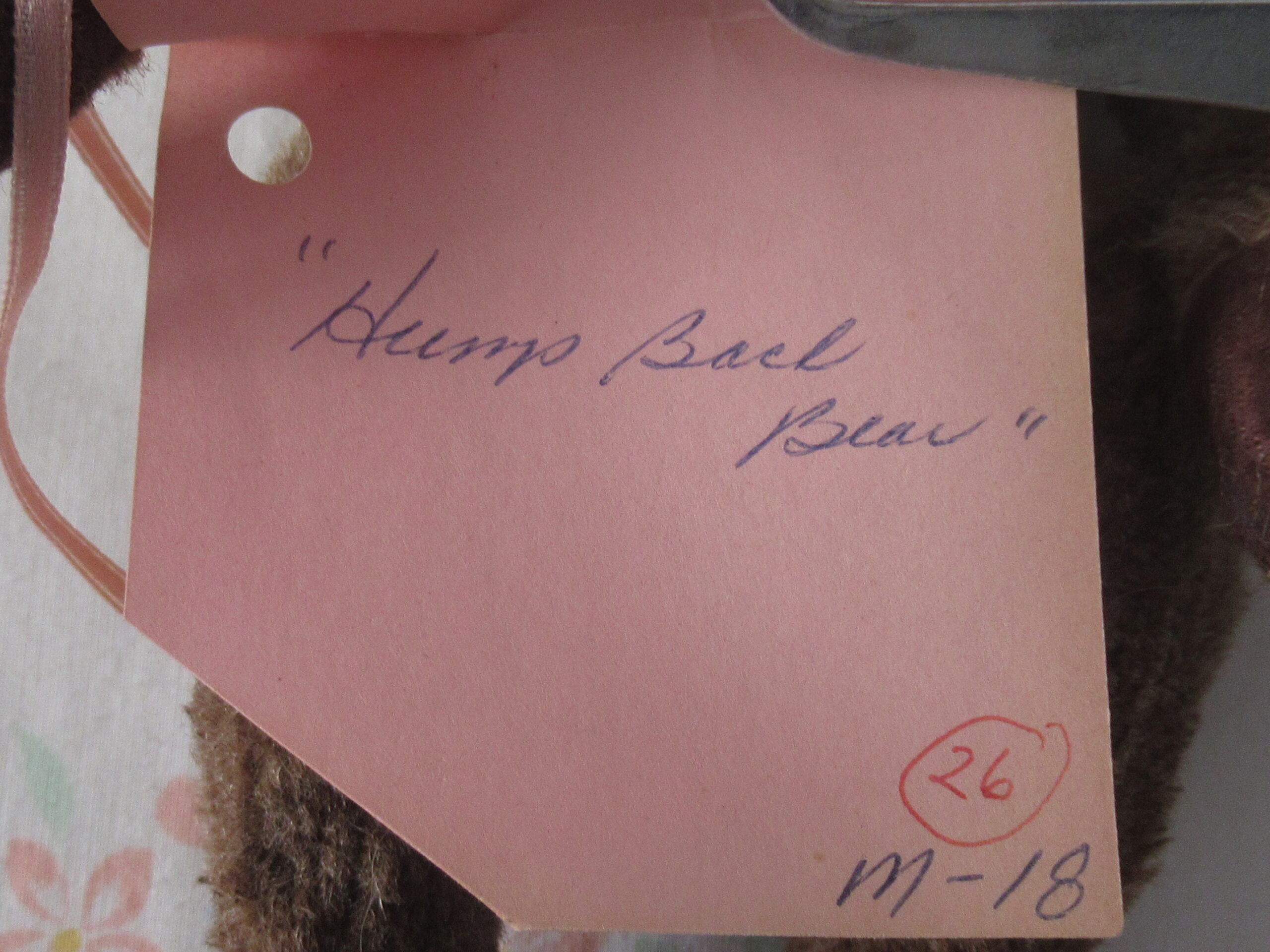Hump Back Bear - Sweet Annie Everlastings and Keepsakes - Image 11