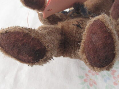 Hump Back Bear - Sweet Annie Everlastings and Keepsakes - Image 7