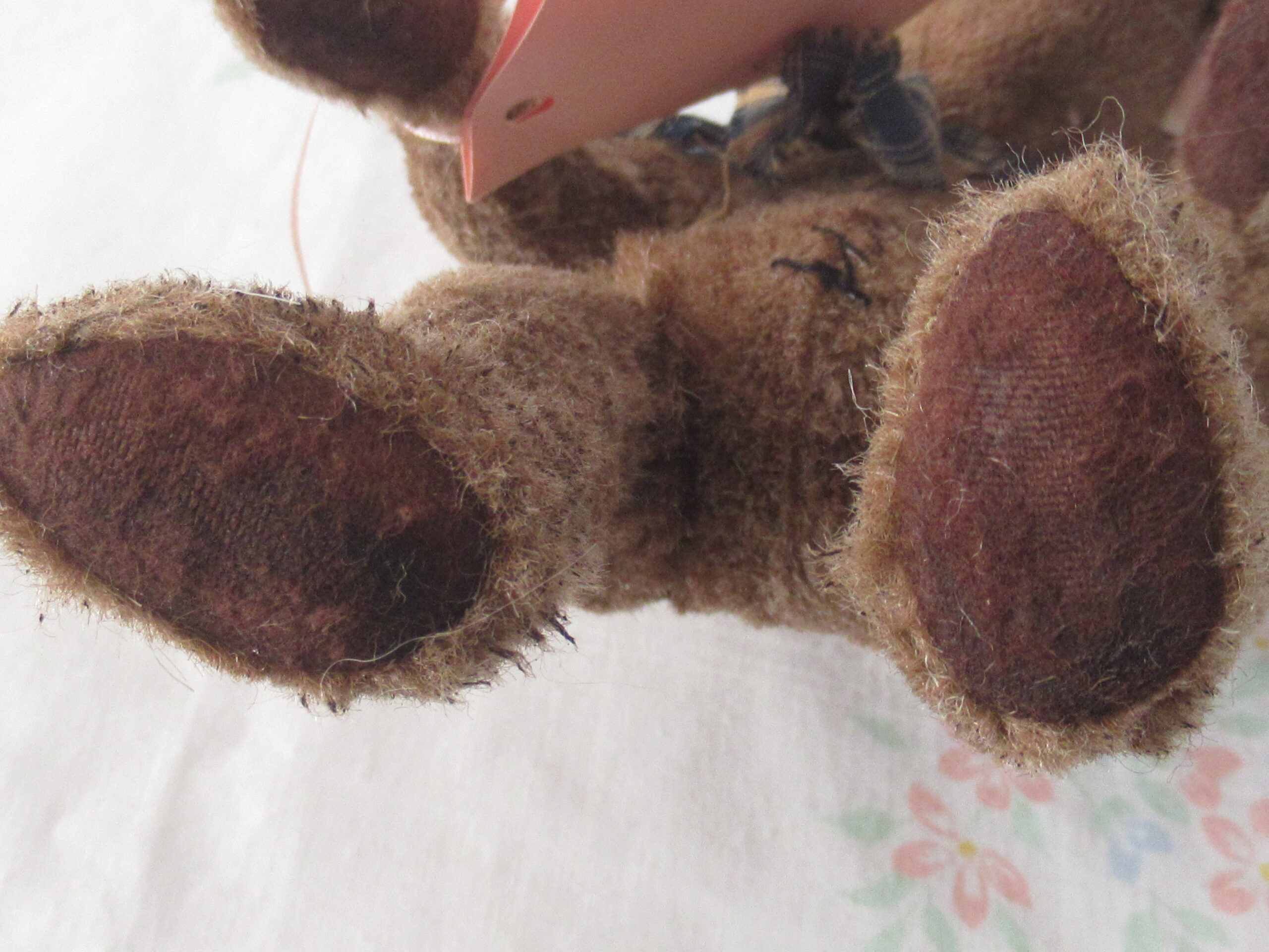 Hump Back Bear - Sweet Annie Everlastings and Keepsakes - Image 7