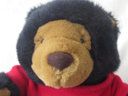 Sitting Teddy Bear with Belkie 2001 Outfit - Image 2