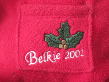 Sitting Teddy Bear with Belkie 2001 Outfit - Image 4