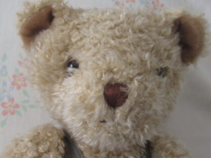 Charter Club 2000 Teddy Bear - Take me home with you. - Image 2