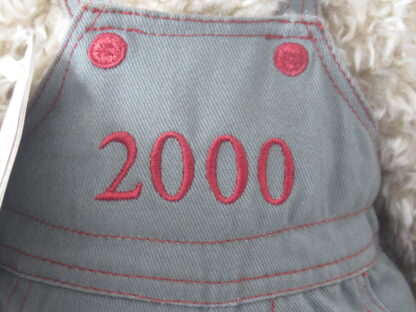 Charter Club 2000 Teddy Bear - Take me home with you. - Image 5