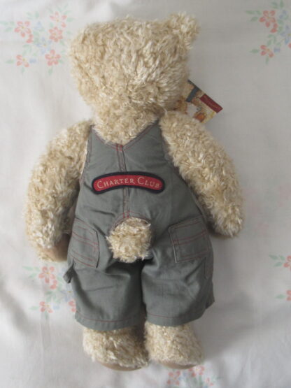 Charter Club 2000 Teddy Bear - Take me home with you. - Image 3