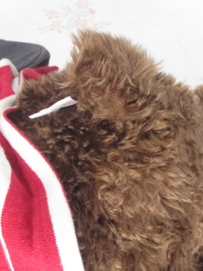 Gund - American Eagle Outfitters - Rugby Teddy Bear - Image 4