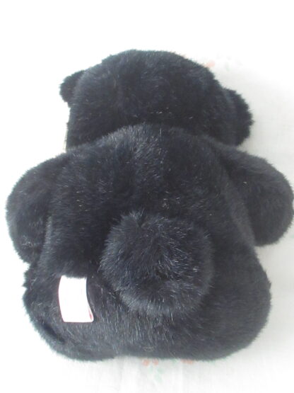 Lot of 2 Bears - Two Tone Bear and Just Friends Bear - Image 10