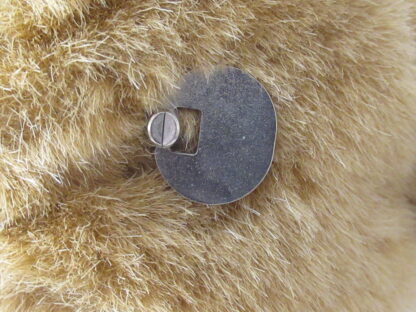 FAO Schwarz Musical Snoring Bear - An Eden Gift - Image 6