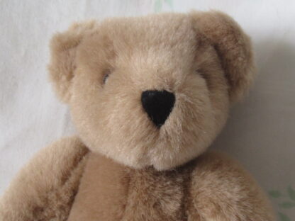 Vermont Teddy Bear Company - 9 Inch Teddy Bear - Image 2