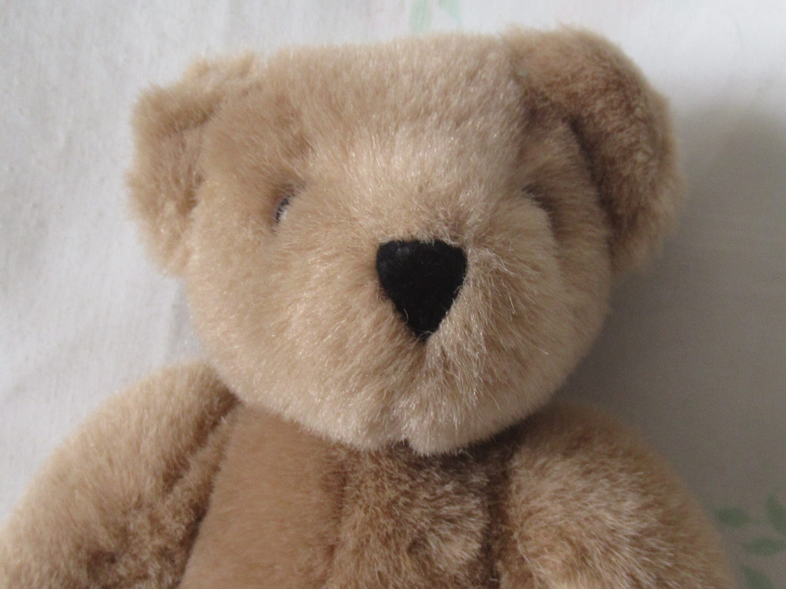 Vermont Teddy Bear Company - 9 Inch Teddy Bear - Image 2