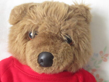 LL Bean LL Cub Teddy Bear with Mercy Bear T-Shirt - Image 2