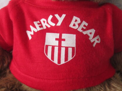 LL Bean LL Cub Teddy Bear with Mercy Bear T-Shirt - Image 5