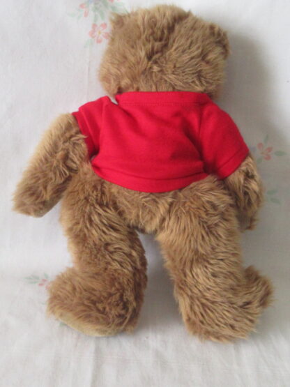 LL Bean LL Cub Teddy Bear with Mercy Bear T-Shirt - Image 3