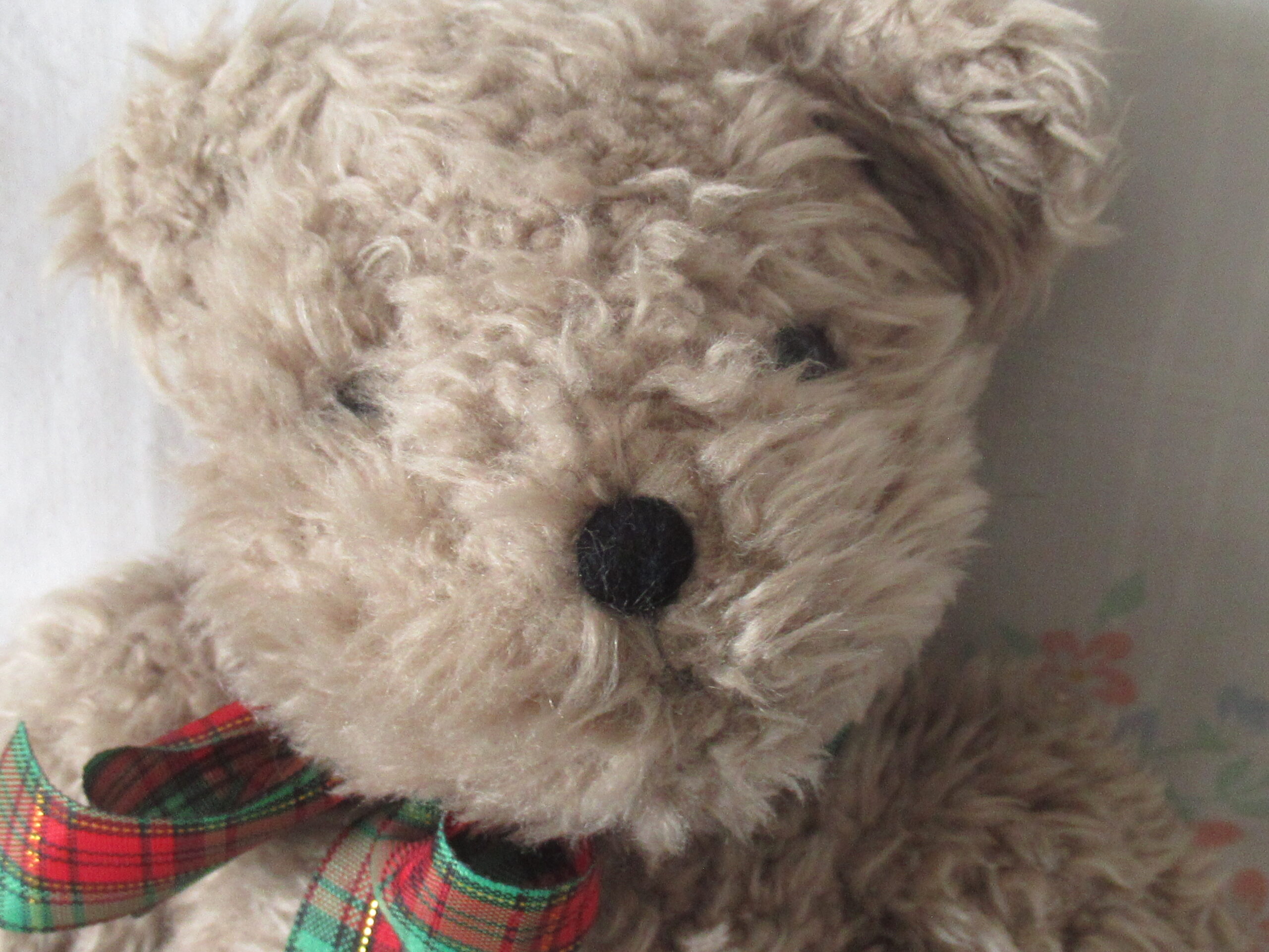 Drug Emporium - Teddy Bear with Plaid Bow - Image 2