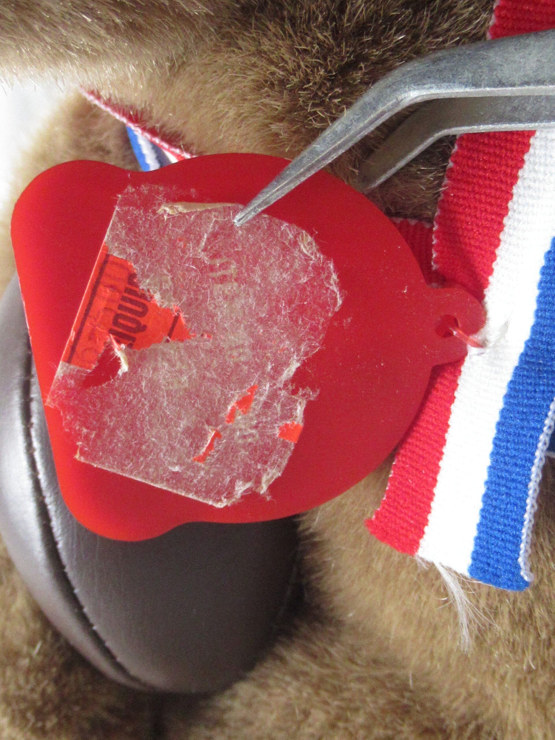 1984 Charm Co Teddy Bear with Ball and Ribbon - Image 9