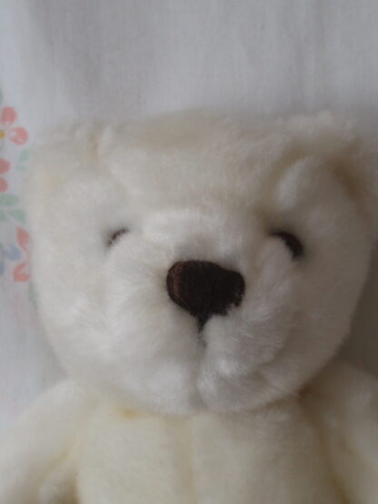 Herrington Teddy Bears - Go Blue Collegiate Licensed Product - Image 2